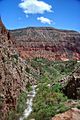 Jemez Mountains, New Mexico 02