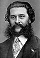 Johann Strauss II (3)