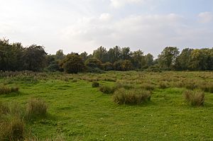 Langford Meadows 4