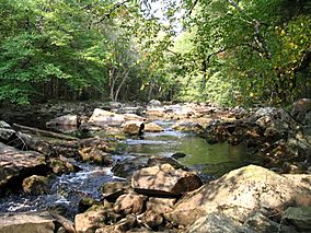 Little River in Fall.jpg