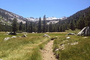 Lyell Canyon valley floor