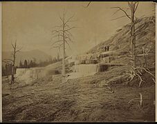 Mammoth Hot Springs, Pulpit Terraces - DPLA - 528c84b004e3103607a006e96e662765