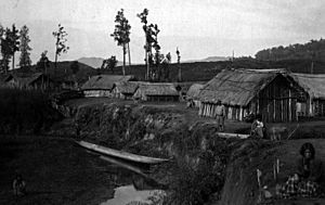 Maori Village