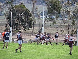 Melton v Melton South 1