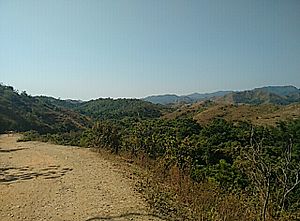 Montañas del parque nacional Terepaima