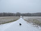 Moore Road, Callahan State Park, Framingham MA.jpg