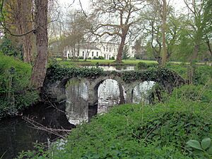 Morden Hall Park 1