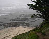 Mossbeachnrsanvincentecreek