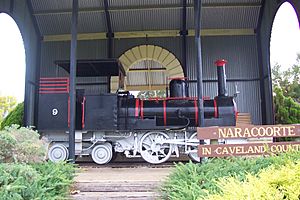 Naracoorte V class