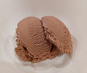 Oatly vegan chocolate ice cream