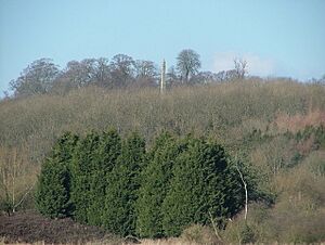 Obelisk at Farnborough Hall