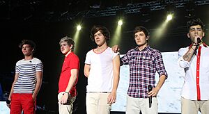 One Direction Sydney 4.jpg