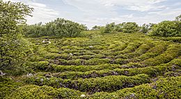 RUS-2016-Bolshoi Zayatsky Island-Stone labyrinth 03