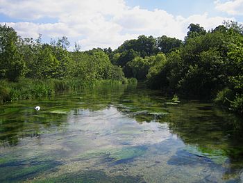 River Itchen Ovington.jpg