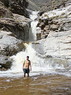 Seven Falls, Bear Canyon AZ