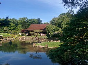 Shofuso Blue Sky