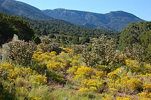 Site of Kelly, NM