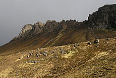 Stac pollaidh crest