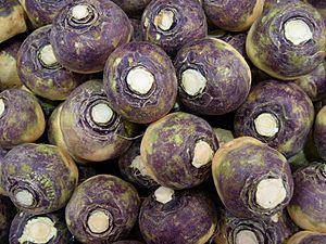 Swede - rutabaga - veggiegroup