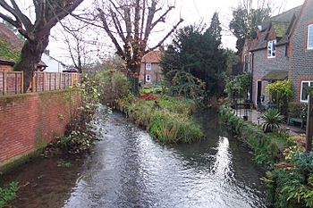 Uk-pang-in-pangbourne.jpg