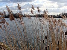 Walthamstow-Reservoir-758