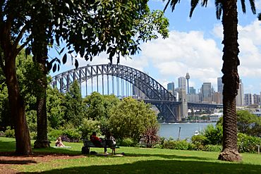 (1)Clark Park Lavender Bay.jpg