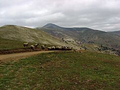 Akilbaba-Dagi-Espiye-Giresun-1