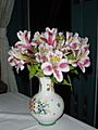 Alstroemeria cultivar