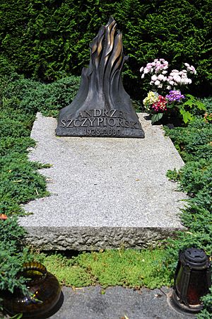 Andrzej Szczypiorski grave