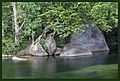 Babinda Swimming Hole-1and (4194243193)