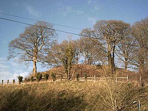 Bampton Castle, Devon