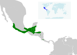 Bauerus dubiaquercus map.svg