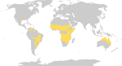 Biome map 07