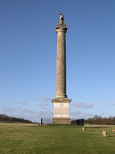 Blenheim Column of Victory