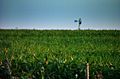 Campos de Bella Unión - Uruguay