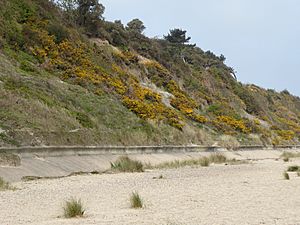 Corton Cliffs 3.jpg