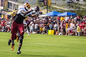 DeSean Jackson 2014 Redskins training camp