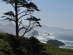 Ecola State Park Haystack Rock