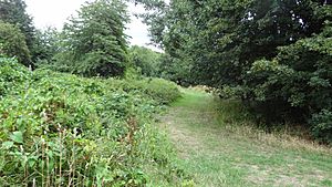 Elmbridge Meadows, Kingston