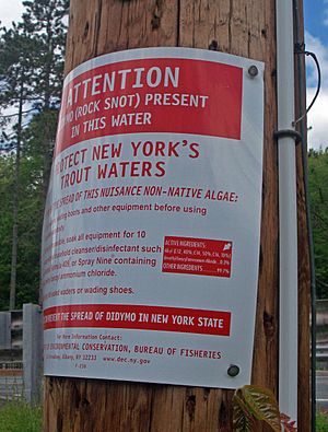 Esopus Creek rock snot sign