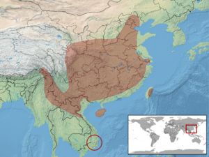 Euprepiophis mandarinus distribution.png