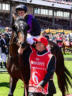 Fiorente, 2013 Melbourne Cup