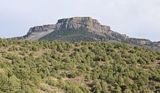 Fishers Peak State Park.JPG