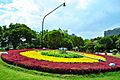 Flower Clock by Jose Datuin