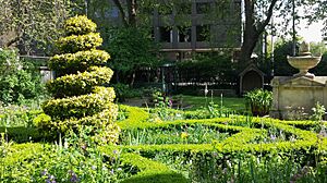 Garden of The Garden Museum, London