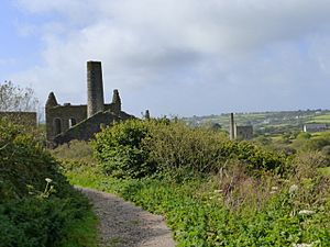 Great Flat Lode engine houses