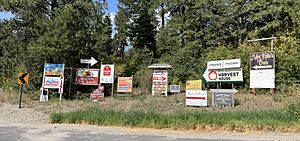 Green Bluff Signs