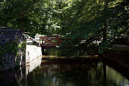 Hagley Mill Race