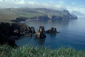 Hall Island, Bering Sea