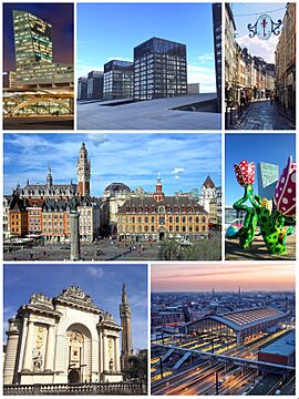 From top to bottom, left to right: the Lille Tower, some towers of Euralille, the Rue de la Clef in Old Lille, the Place du Général-de-Gaulle, the Shangri-La tulip sculpture for Lille 2004, the Porte de Paris with the belfry of the City Hall and Lille-Flandres train station